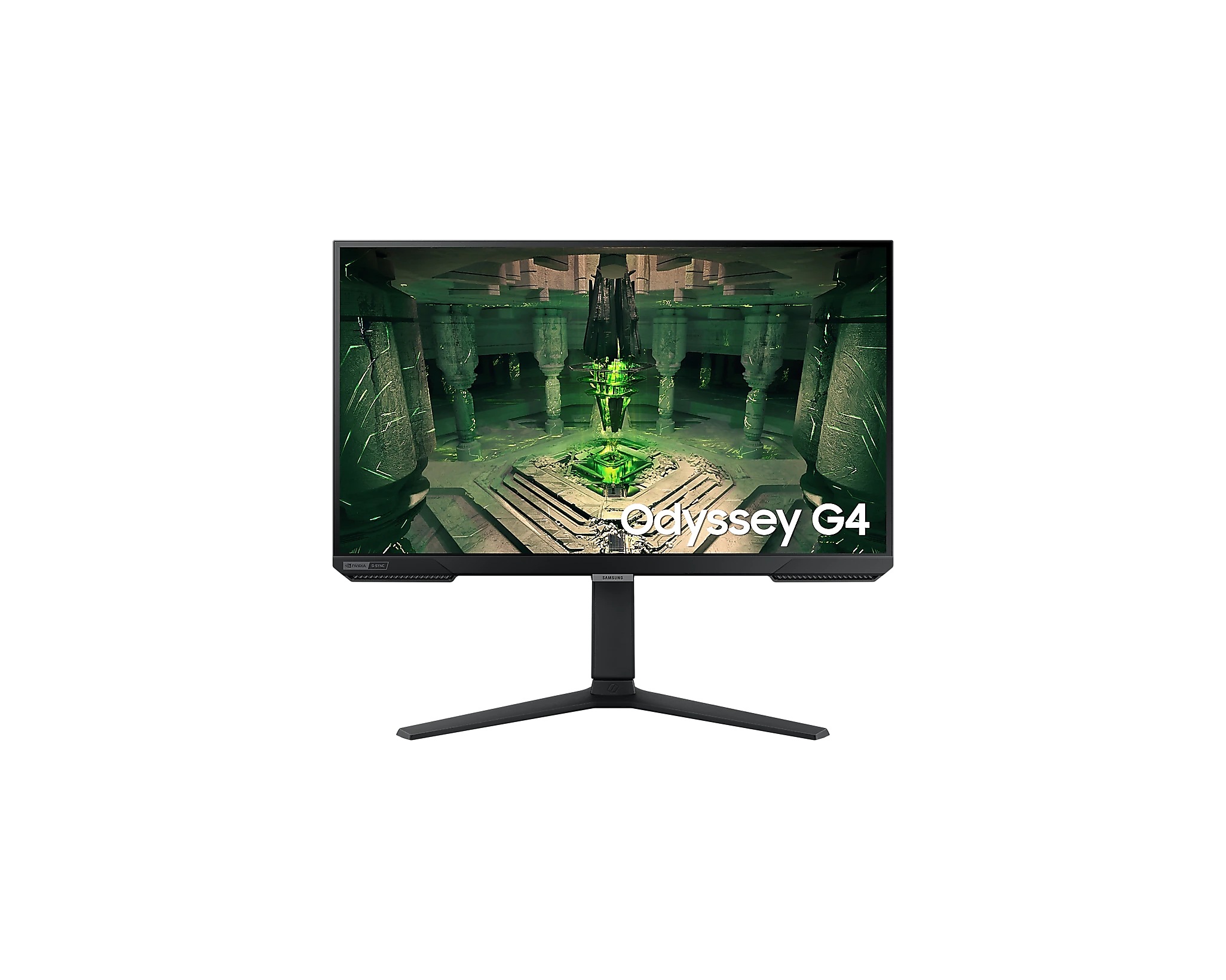 Samsung 25" FHD monitor with IPS panel (LS25BG402EMXUE)