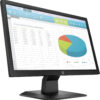 HP P204v 19.5-Inch HD+ Business Monitor with HDMI and VGA Connectivity